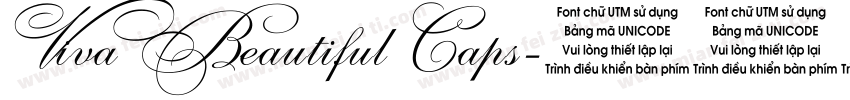 Viva Beautiful Caps字体转换